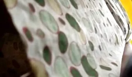 Alison videos maduras infieles