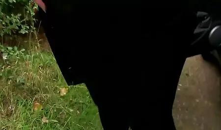 Liguero infieles casadas videos