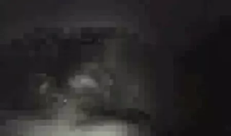 Kara videos de mujeres casadas siendo infieles Tyler